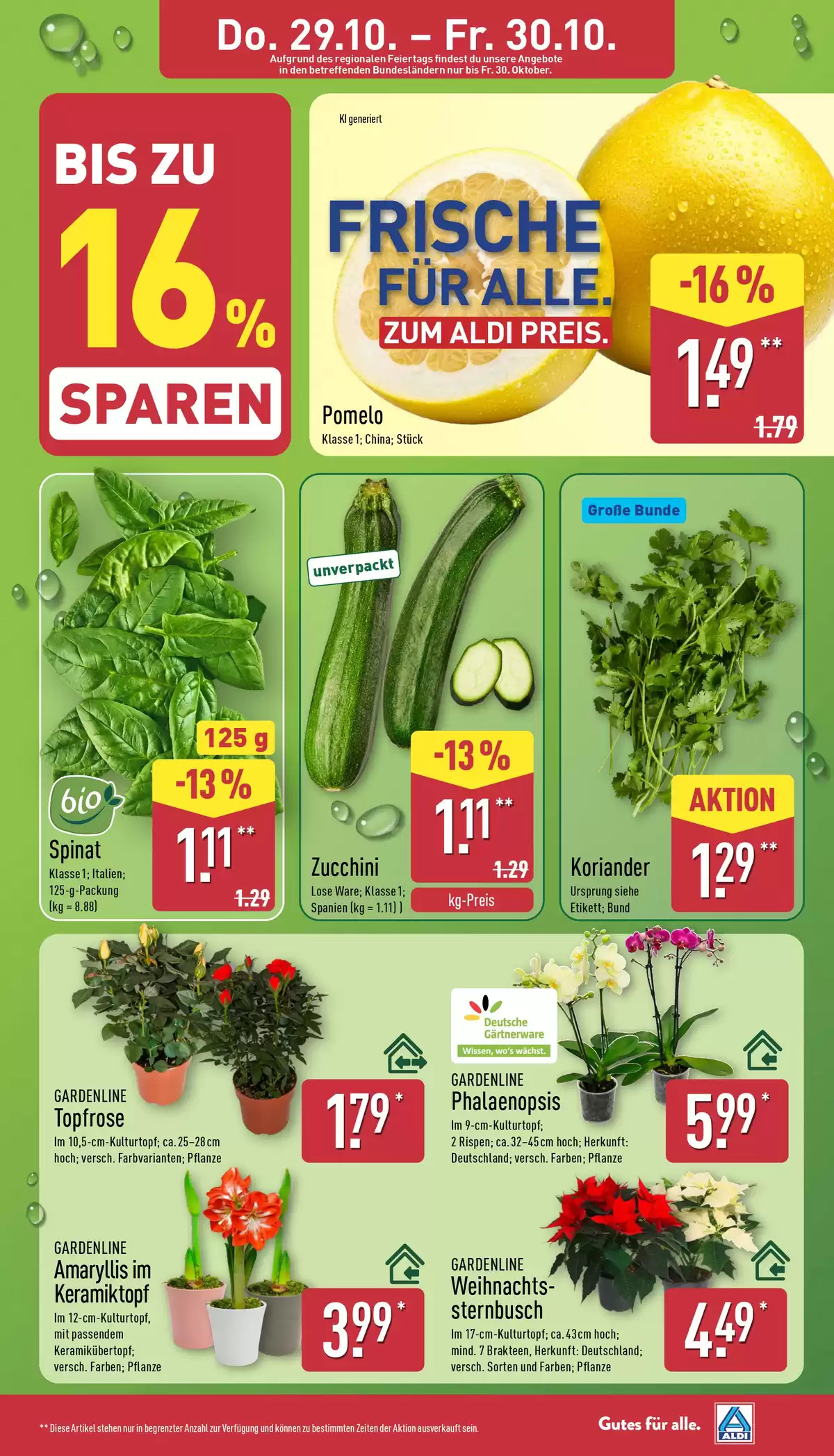 Pagina 32