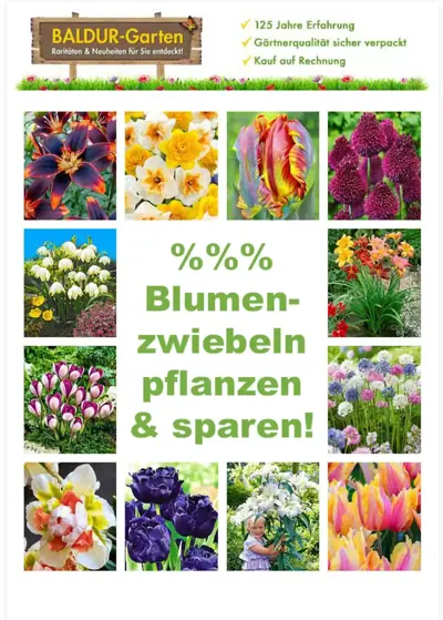 %%% Blumen Zwiebeln Pflanzen & Sparen