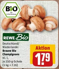 Bio - Braune  Champignons